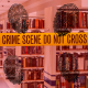Murder in the Stacks After Hours II: The Return of the Murderer