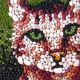 Bean Mosaic